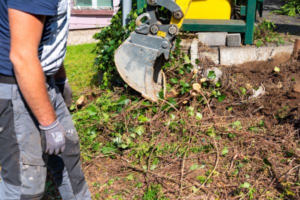 Hedge Removal Service in Palm Desert
