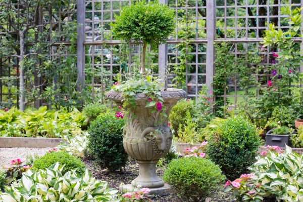 Cost of Topiary Pruning in Palm Desert