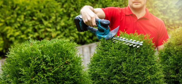 Hedge Shaping Service in Palm Desert