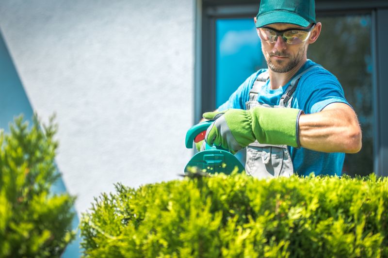 Landscaper Shaping Shrubs